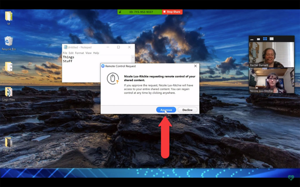 Remote Control Request in Zoom.