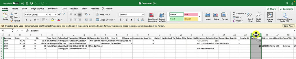 PayPal Activity Report CSV balance column