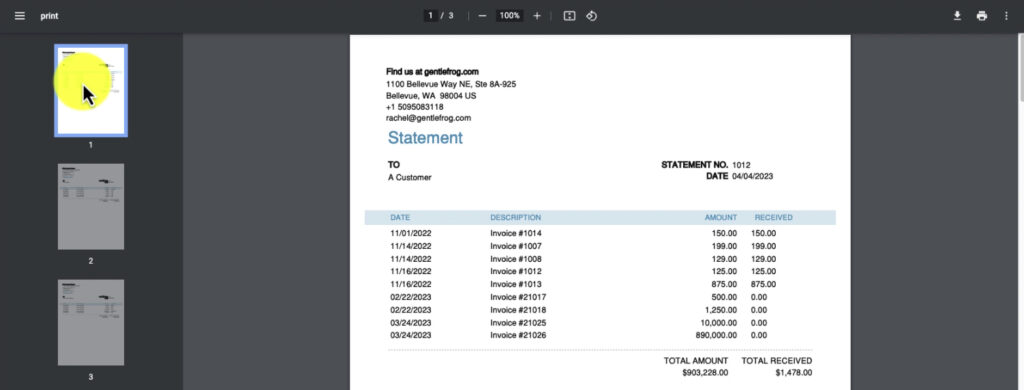 Print preview of a Transaction Statement in QBO.